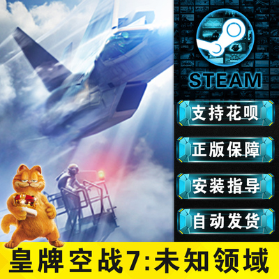 正版中文未知空域steam