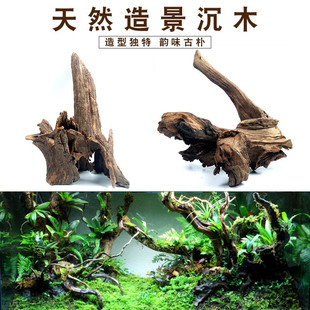 天然沉木水草鱼缸造景素材国产树根紫柚水龟晒台虾屋摆件尺寸可选