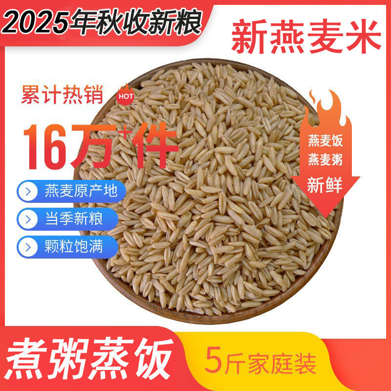 2025新燕麦米坝飘香当季新米煮粥