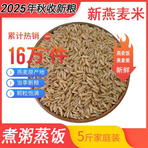 新燕麦米坝飘香燕麦胚芽米煮粥