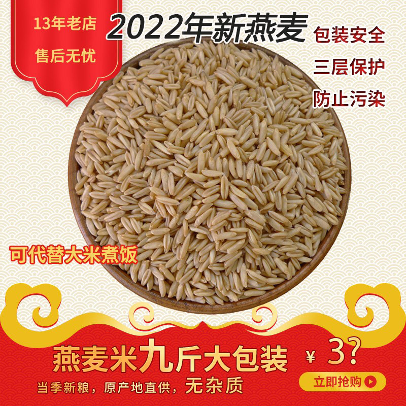 2022年新燕麦米坝上高原粒脱壳燕麦