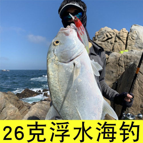 海南钓gt牛港专用广东广西浮水米诺路亚饵26克狼鲈鱼翘嘴侍魂假饵 - 封面