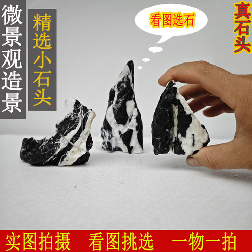 苔藓微景观生态瓶装饰 青龙石 多肉盆栽装饰假山石 小石头小摆件