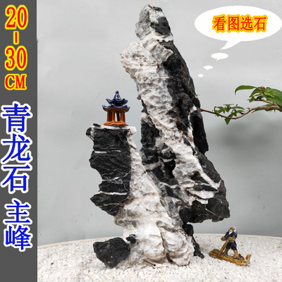 青龙石松皮石溪流石鱼缸造景石天然真石头草缸假山小块盆景微景观