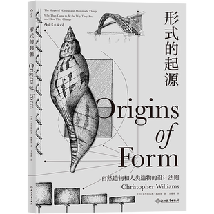 形式的起源