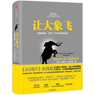 让大象飞 激进创新 让你一飞冲天的创业术 史蒂文 霍夫曼 著