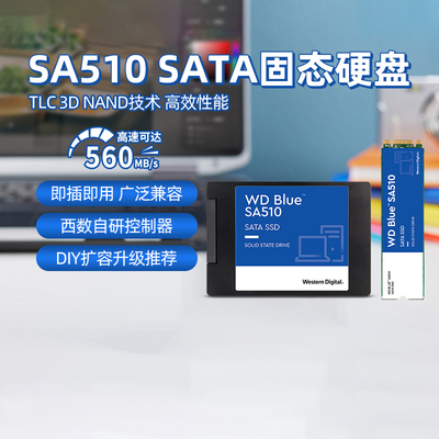 WD西数固态硬盘SA510