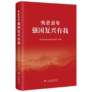 央企青年 强国复兴有我 国务院国资委党委宣传部 著 政治