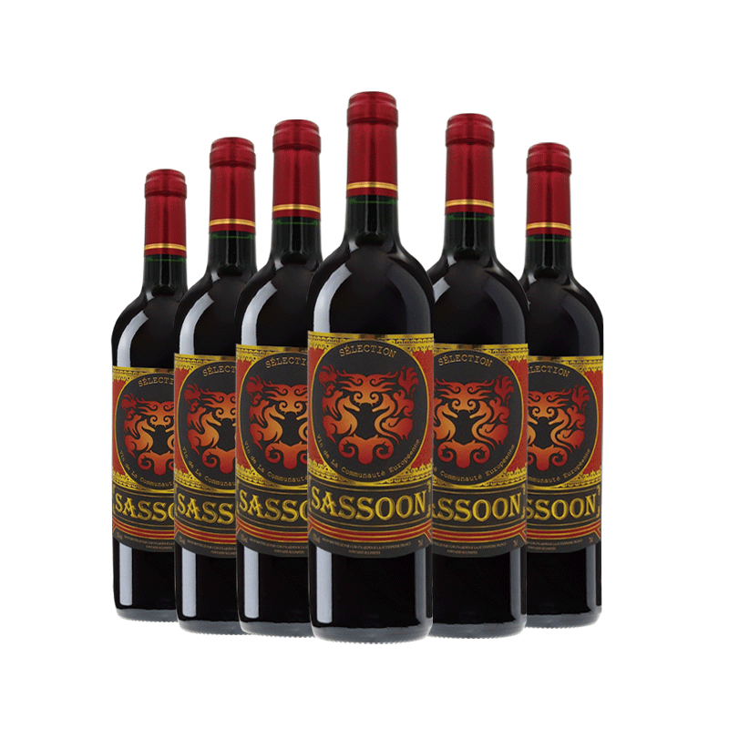薩松法國(guó)原瓶進(jìn)口紅酒干紅葡萄酒紅酒整箱750ml*6支