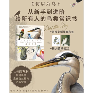 何以为鸟西布利的鸟类世界 跟随观鸟大师的画笔 走进灵动鸟类世界