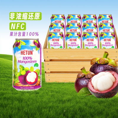 进口HETUN山竹汁果汁330ml×12罐