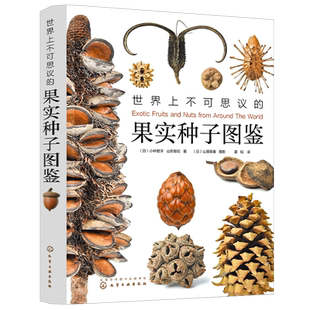 世界上不可思议的果实种子图鉴 小林智洋无穷小亮 300张高精图片