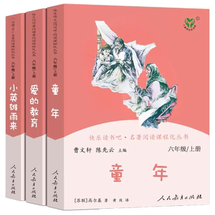 人教版快乐读书吧六年级上册套装共3册 童年 爱的教育 小英雄雨来