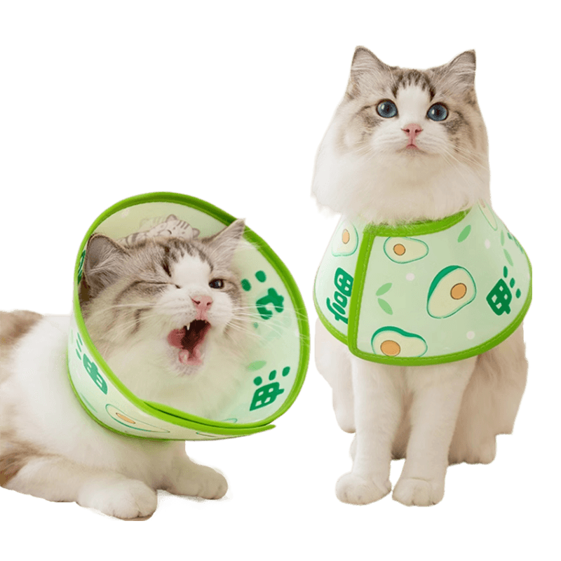 嬉皮狗猫咪狗狗伊丽莎白圈防舔咬