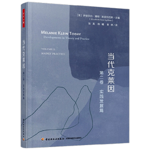 当代克莱因 第二卷 实践发展篇 伊丽莎白·博特·斯皮利厄斯 编著
