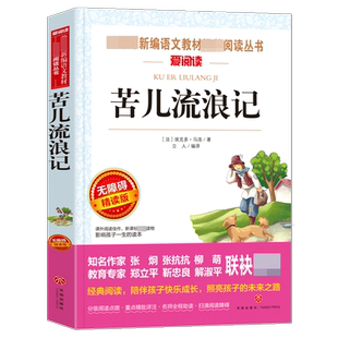 苦儿流浪记正版小学生四五六年级课外书人民文学畅销的原版图书