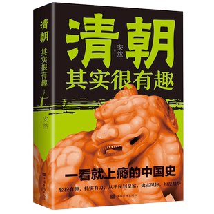 历史其实很有趣细说历史大全集清朝那些事儿中国历史书籍