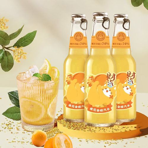 碧山村汽水南京夫子庙同款果汁气泡水桂花金桔碳酸饮料225ml*3瓶