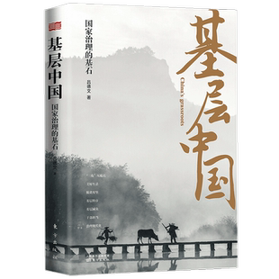 基层中国 国家治理的基石 吕德文 著 深度解析基层治理复杂性