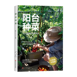 阳台种菜 taco的有机种植生活  农业园艺技能新华正版书籍