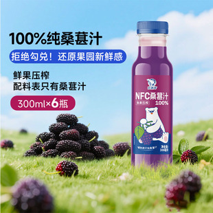 北冰洋100%NFC桑葚汁鲜果压榨纯果汁瓶装300ml*6瓶