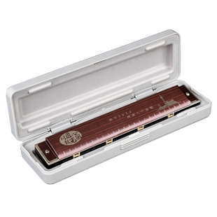 上海国光专业演奏级口琴24孔复音重音C调初学者男士成人中老年