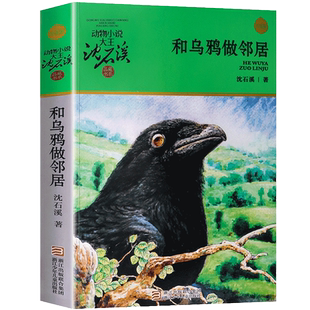 和乌鸦做邻居(升级版)沈石溪动物小说升级版小学生课外阅读书籍