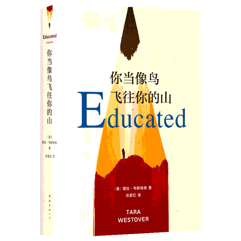 你当像鸟飞往你的山正版中文版比尔盖茨推荐外国现当代文学畅销书