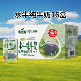 皇氏乳业杨森水牛纯牛奶125ml*16盒4.0g蛋白质水牛奶