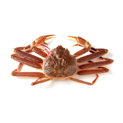 （鲜活）俄罗斯长脚蟹700-800g/只