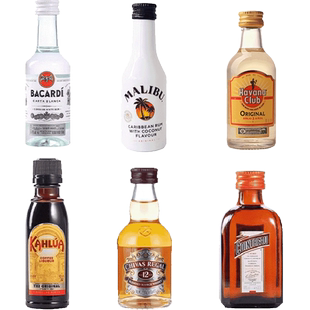 清凉一夏便利店调酒小酒版50ml迷你酒洋酒鸡尾酒伏特加威士忌小瓶