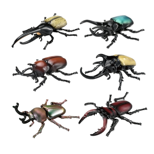 多美安利亚甲虫独角仙彩虹瓢虫儿童认知仿真动物玩具