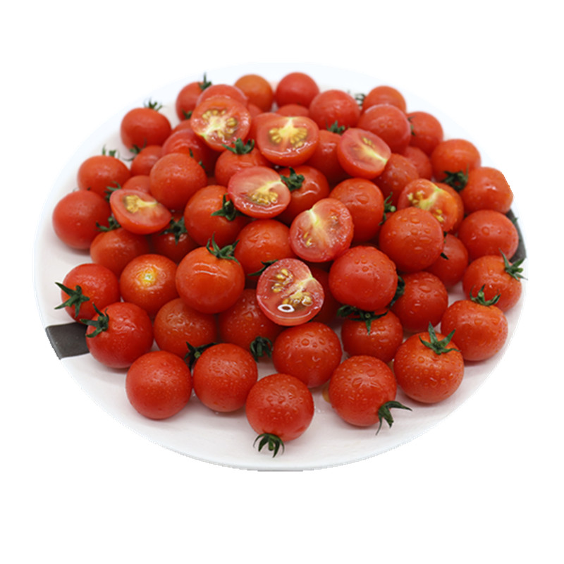 ӣҷ(ʥŮ) 500g/14.16Ԫ(88VIP 95)