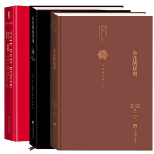 正版 未发现的自我+金花的秘密+红书荣格作品集3册心理学书籍