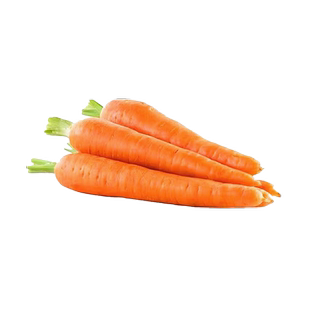 胡萝卜新鲜胡萝卜沙土地蔬菜水果红萝卜现挖现发农家蔬菜