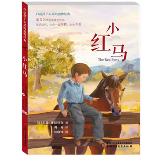 打动孩子心灵的动物经典--小红马 正版书籍