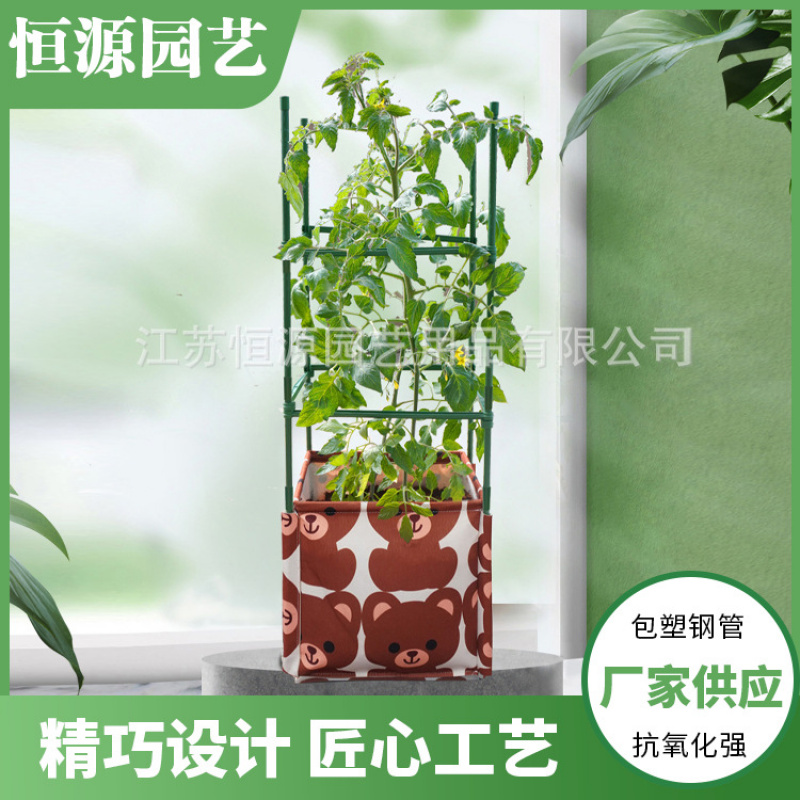 西红柿番茄种植袋种菜黄瓜豆角架