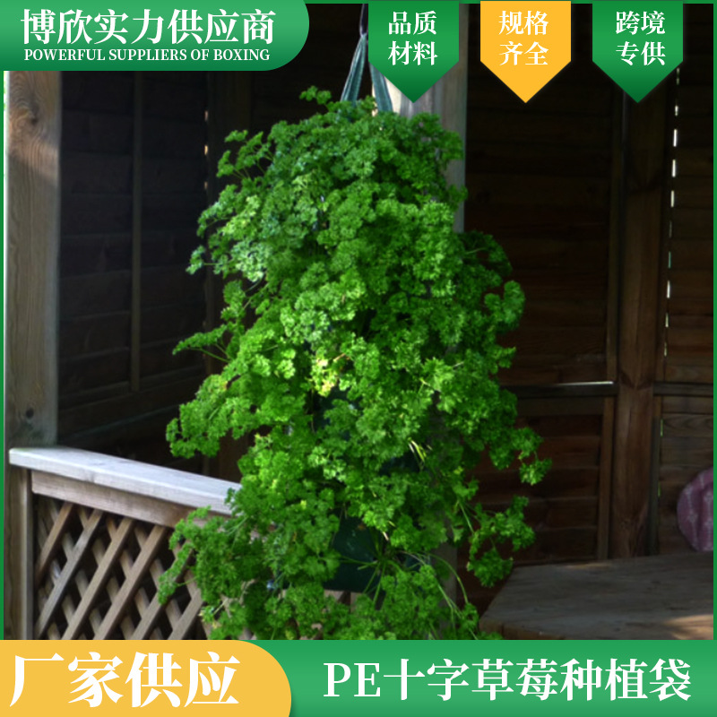 十字草莓种植袋悬挂式番茄种植袋