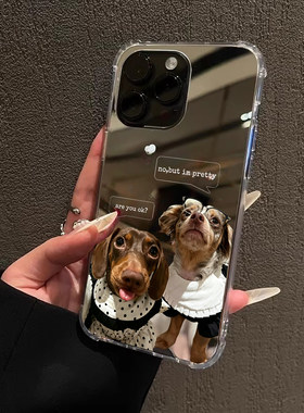 我超美腊肠犬小狗适用iPhone17e苹果14手机壳16ProMax荣耀90搞怪治愈15华为Mate70Pro镜面P80小米女13可爱x女