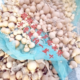 微瑕疵葫芦烙画练手用