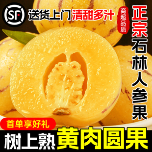 人参果新鲜水果云南石林黄心圆果树上熟七彩人叁果应当季整箱包邮