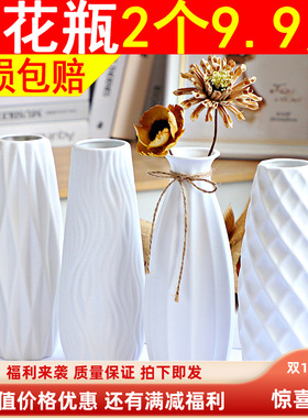 挂件门口新款上市花瓶白色插干花满天星绿萝水培摆件客厅插花北欧