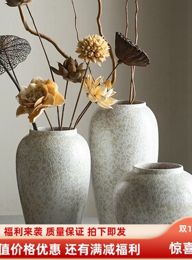 景德镇玻璃罩田园风陶罐家居客厅书房玄关台面装饰摆件插花水培