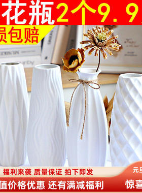 挂件门口新款上市花瓶白色插干花满天星绿萝水培摆件客厅插花北欧