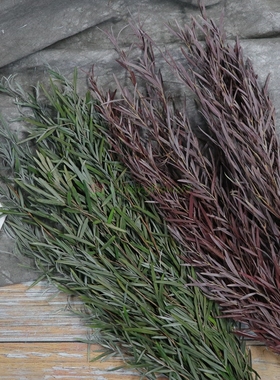 马尾叶永生花进口大地农园配材新娘头饰01241系列永生花