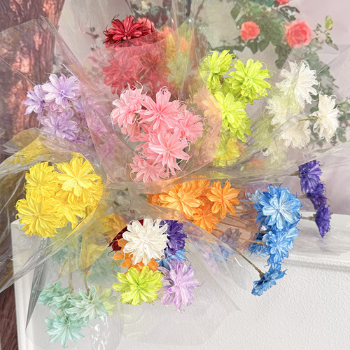 等花来永生花文心兰/昙花插花