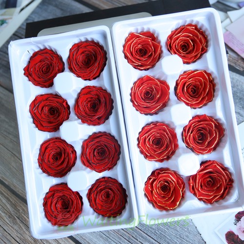 等花来a级玫瑰diy永生花厂家直销