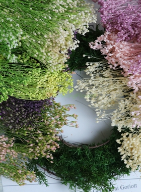 进口永生花材03300大地农园永生花国产小米草金雀草42130保鲜花