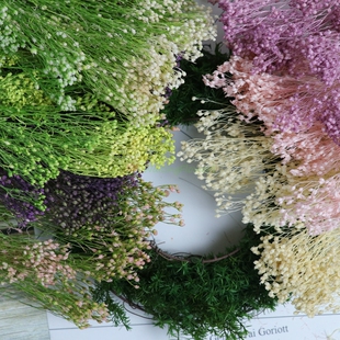 进口永生花材03300大地农园永生花国产小米草金雀草42130保鲜花