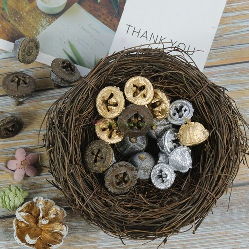 圣诞花环尤加利果等花来金银色